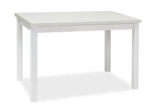 Masă dining ADAM alb mat 100x60